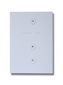 sophisticated daisies thank you card